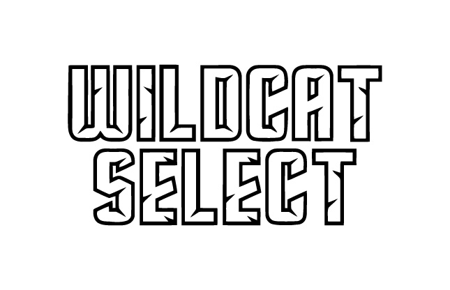 https://adidas3ssb.com/wp-content/themes/3ssb-press/assets/programs/3ssb-boys/WILDCAT%20SELECT-01.jpg logo